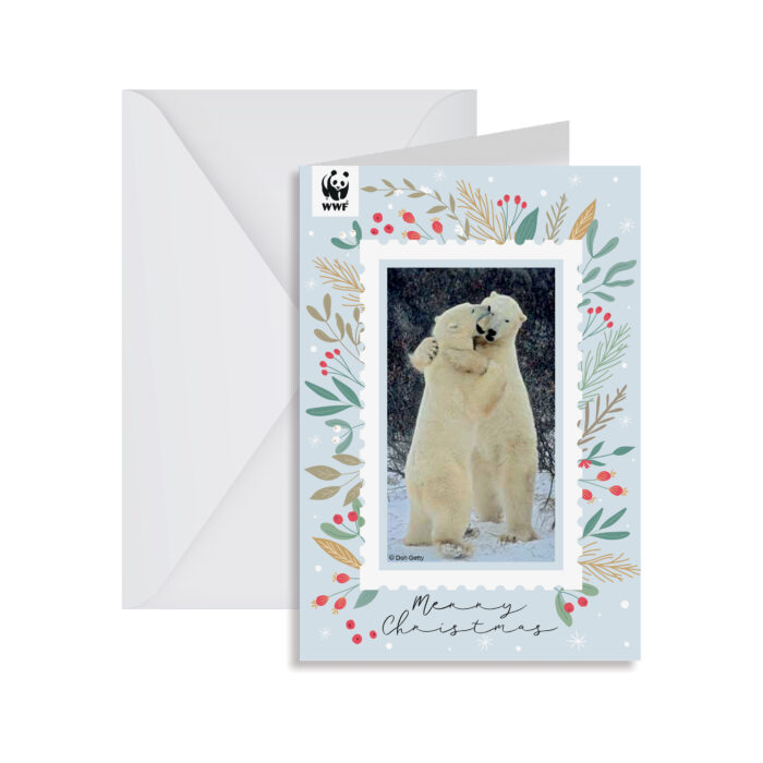 Biglietto Auguri Natale Orsi Polari
