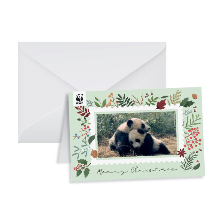 Biglietto Auguri Natale Panda Cornice
