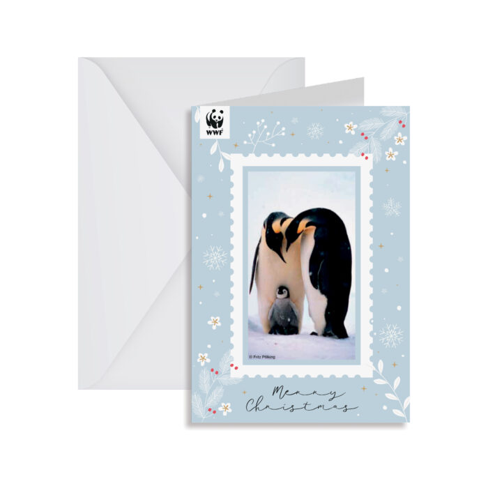 Biglietto Auguri Natale Pinguini
